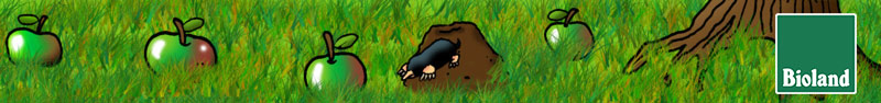 Bioland bannerlg
