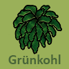 Grünkohl