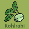 Kohlrabi