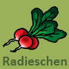 Radieschen