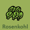 Rosenkohl